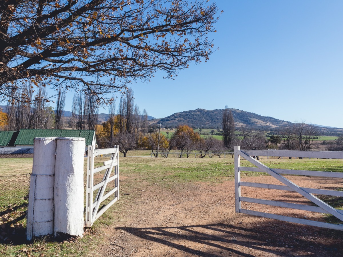 [Image Description: Australian country farm, open white timber gate with large tree overhanging with late autumn leaves, blue sky, paddocks and mountain in distance.]