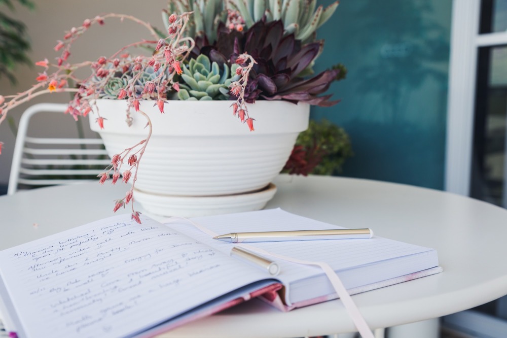[Image Description: Pink journal open with a silver pen on the page, on white round table and a white pot full of succulent plants.]